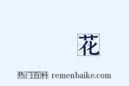 燈籠花是什么意思的图片